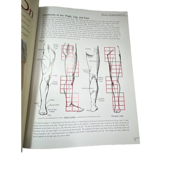 Creating Lifelike Figures in Polymer and Clay Paperback Book by Katherine Dewey - Picture 9 of 10